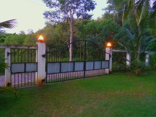Outdoor Pictures 24