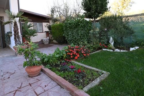 Outdoor Pictures 10