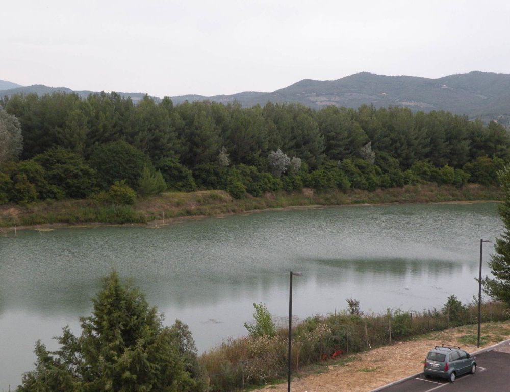 Outdoor Pictures 7