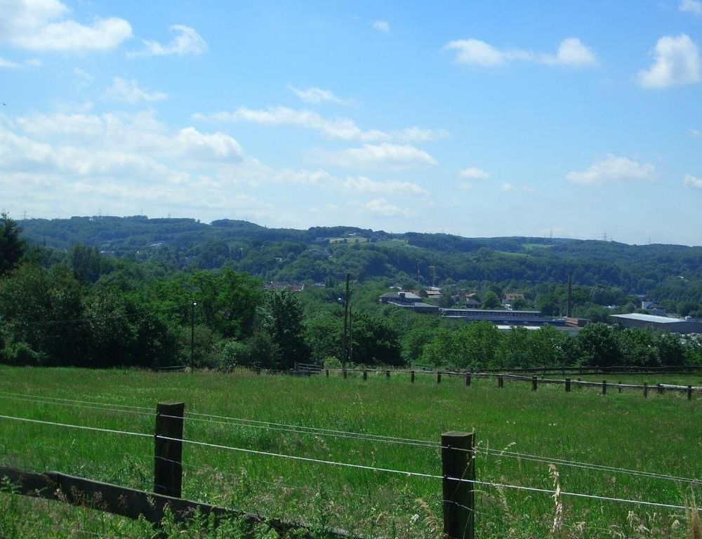 Outdoor Pictures 4
