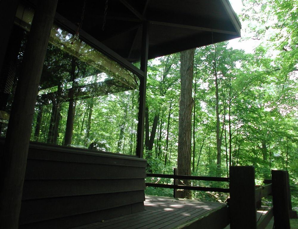 Outdoor Pictures 5