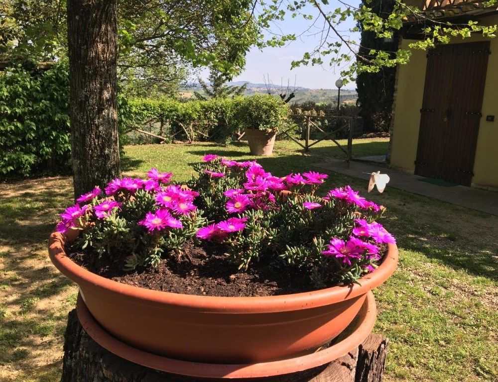 Outdoor Pictures 4