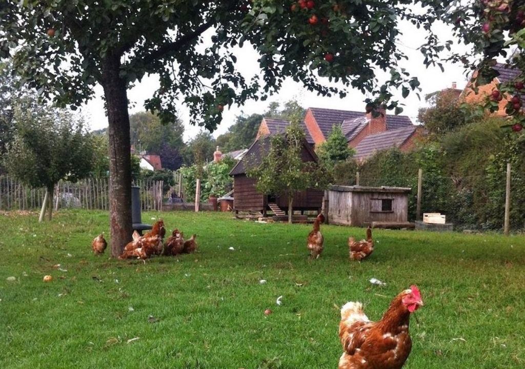 Cider Cottages