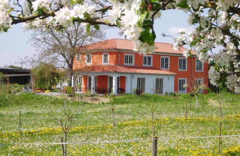 Weinhof am Nussbaum