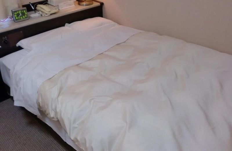 Tsuyama Central Hotel Town House