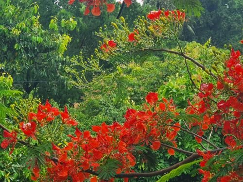 Outdoor Pictures 7