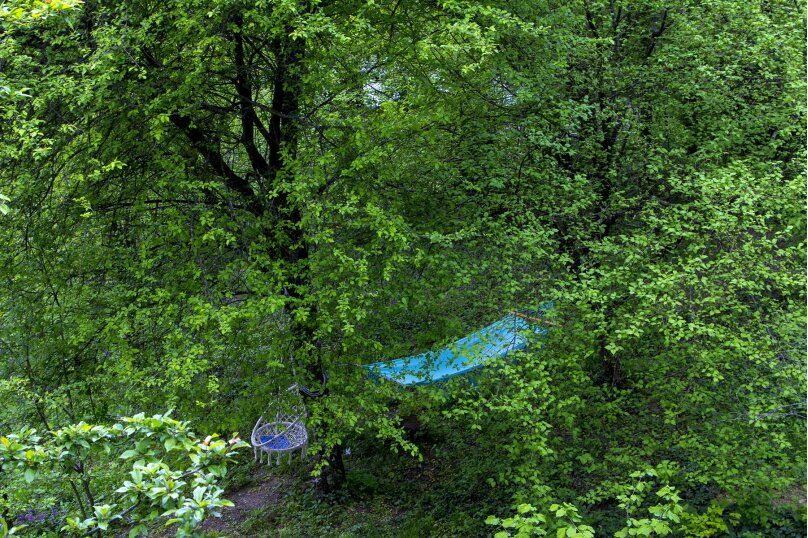 Outdoor Pictures 14