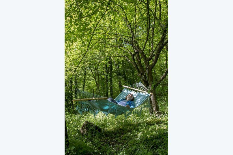 Outdoor Pictures 15