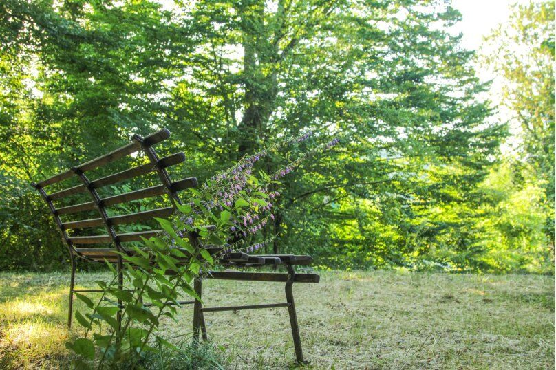 Outdoor Pictures 16