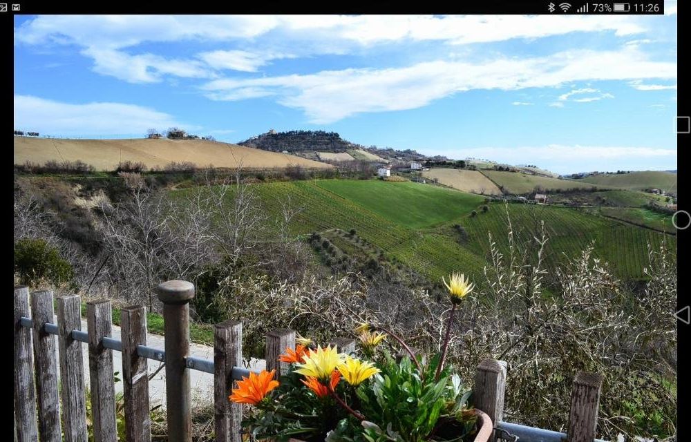 Outdoor Pictures 4
