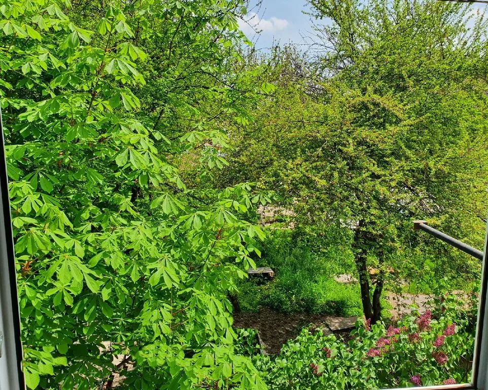 Outdoor Pictures 2