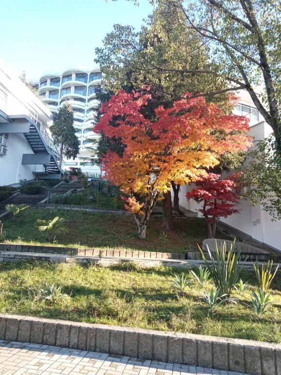Outdoor Pictures 10
