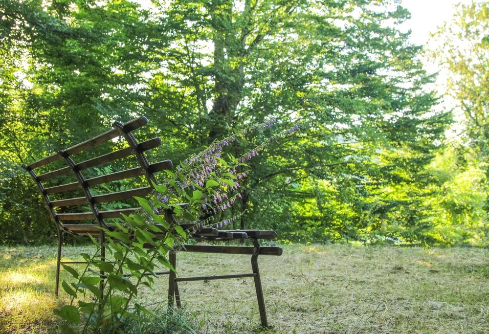 Outdoor Pictures 8