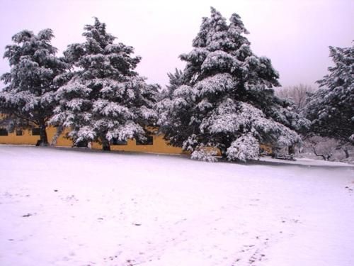 Outdoor Pictures 11