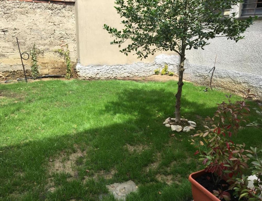 Outdoor Pictures 10