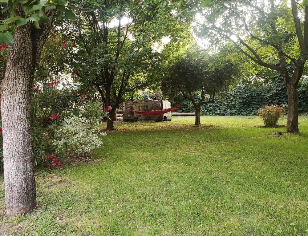 Outdoor Pictures 6