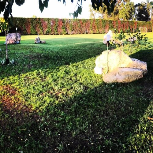 Outdoor Pictures 16