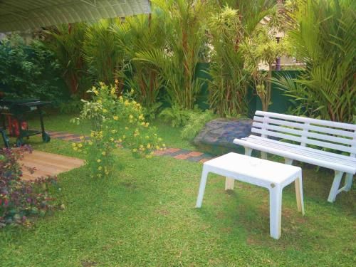Outdoor Pictures 9