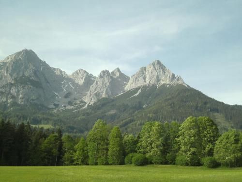 Outdoor Pictures 7