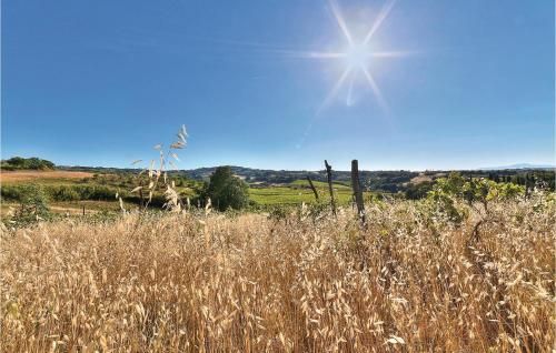 Outdoor Pictures 22