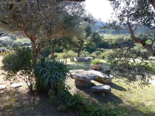 Outdoor Pictures 21