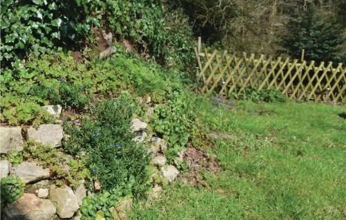 Outdoor Pictures 7