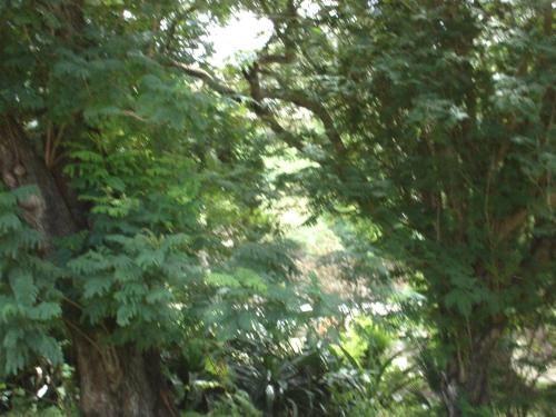 Outdoor Pictures 15