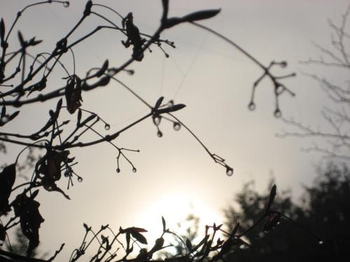 Outdoor Pictures 24