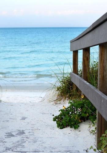 Outdoor Pictures 24