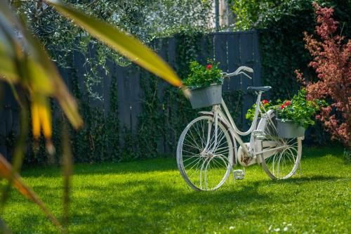 Outdoor Pictures 17