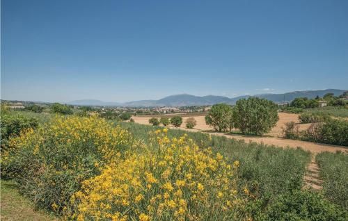 Outdoor Pictures 23