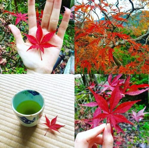 Outdoor Pictures 4