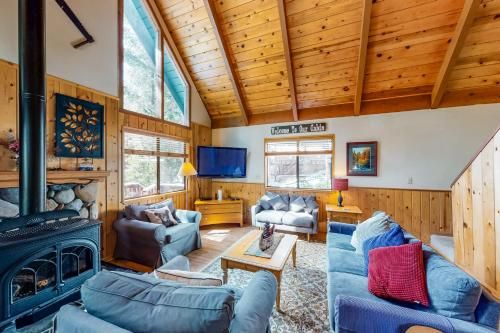 Pine Paradise