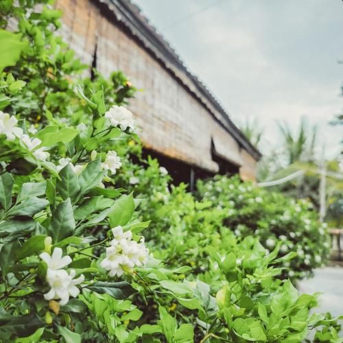 Outdoor Pictures 5