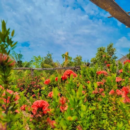 Outdoor Pictures 12