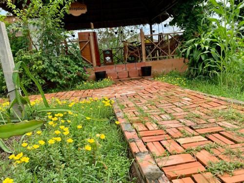 Outdoor Pictures 6