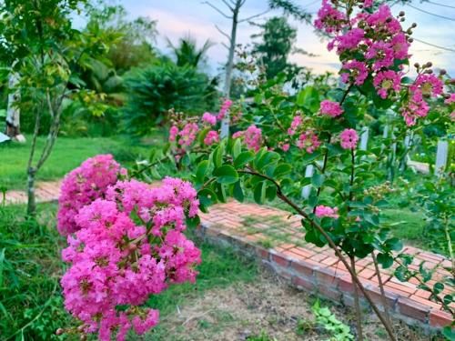 Outdoor Pictures 9