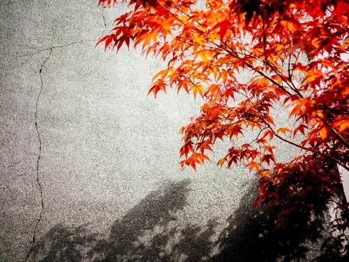 Outdoor Pictures 4