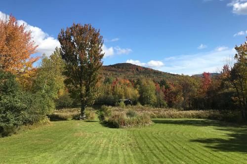 Outdoor Pictures 4