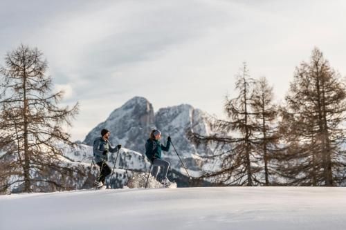 View House - Chalet Goyen