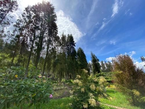 Outdoor Pictures 21