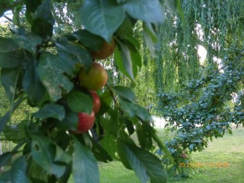 Outdoor Pictures 4