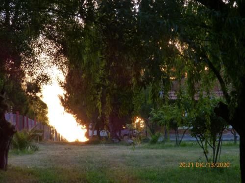 Outdoor Pictures 6