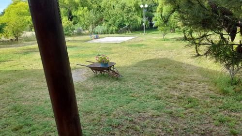 Outdoor Pictures 24