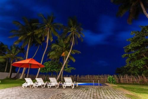 Outdoor Pictures 24