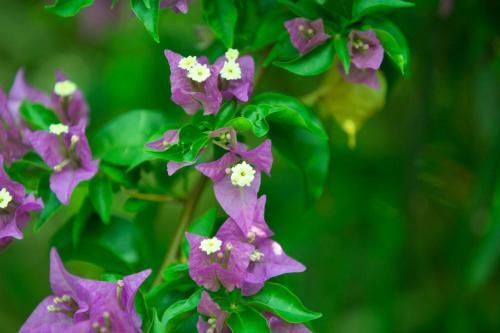 Outdoor Pictures 22