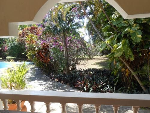Outdoor Pictures 9