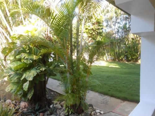 Outdoor Pictures 15