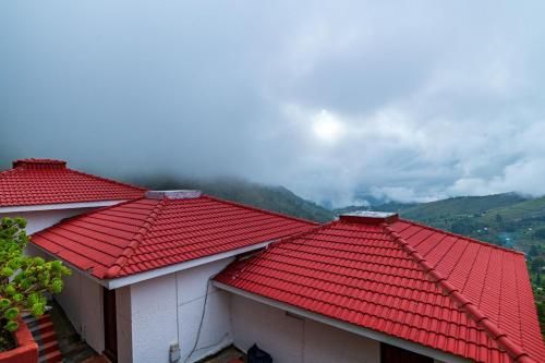 Outdoor Pictures 24