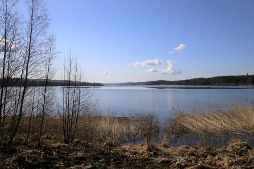 Outdoor Pictures 22